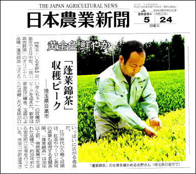 ２０２０年の吉野園の蓬莱錦茶が新聞で紹介