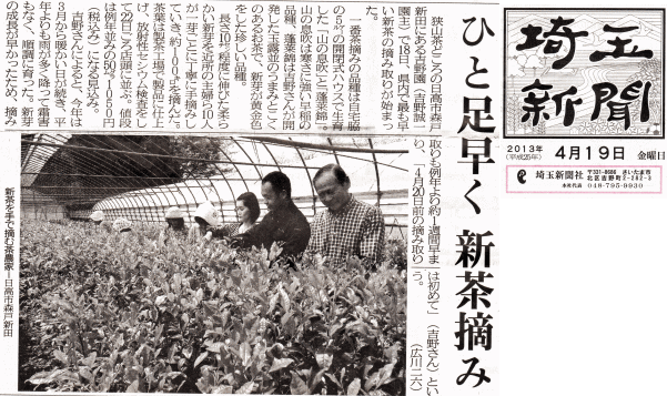 2013年吉野園が埼玉新聞で紹介・新茶