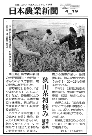 2014年4/19日本農業新聞で吉野園の新茶初摘みが紹介