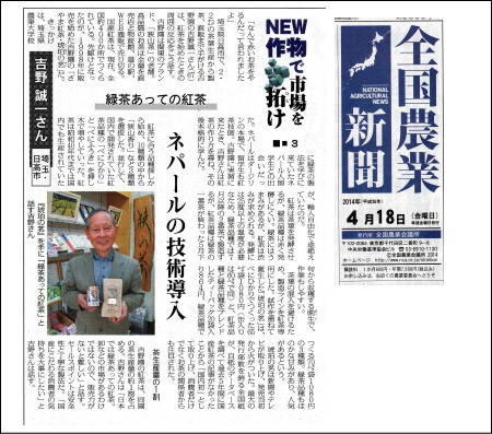 2014年4/18全国農業新聞で吉野園のさやま紅茶が紹介