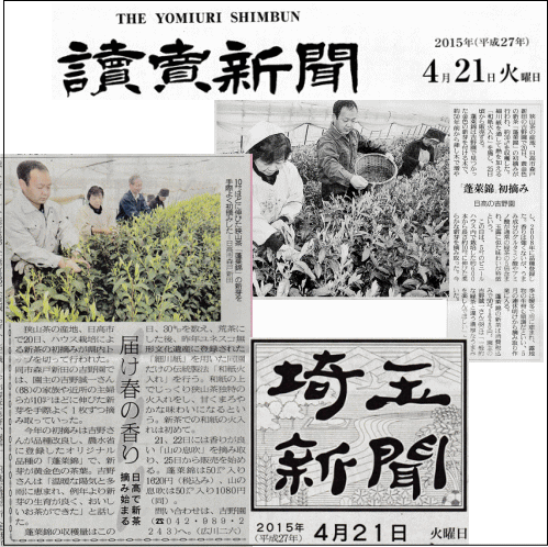 2015年吉野園の新茶が読売新聞・埼玉新聞に掲載